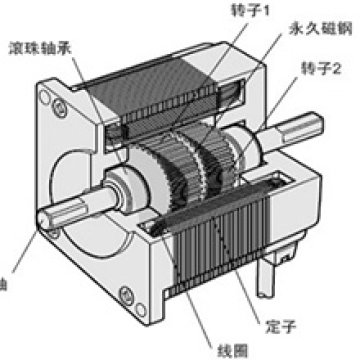 Explain the structure of stepper motor in detail - AIP